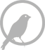 warrant canary